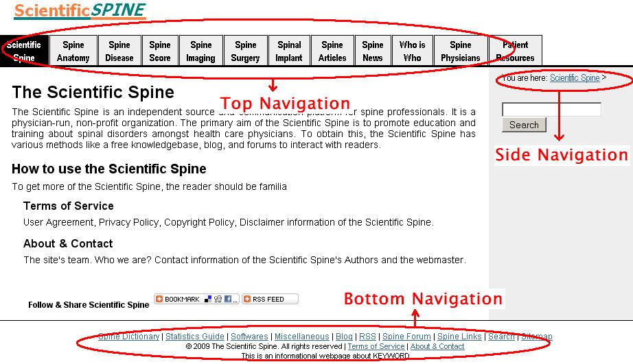 Scientific Spine Navigation Image