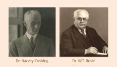 Harvey Cushing and William Bovie