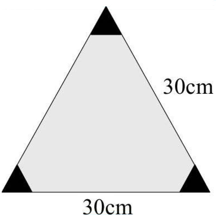 Triangle Step Test